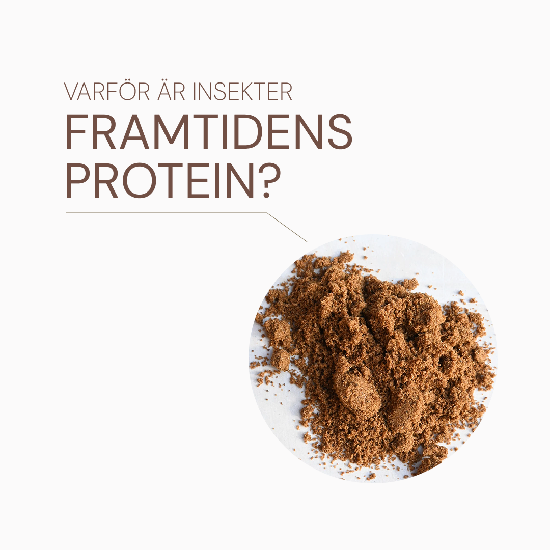 Varför är insekter framtidens protein?